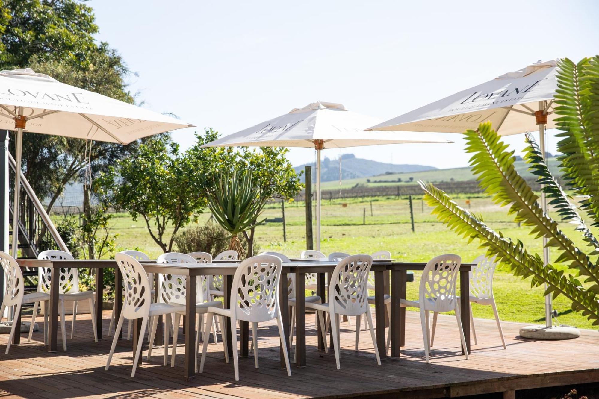 Lovane Boutique Wine Estate And Guesthouse Stellenbosch Kültér fotó